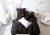 9U0A9649_Easy-Resize.com.jpg